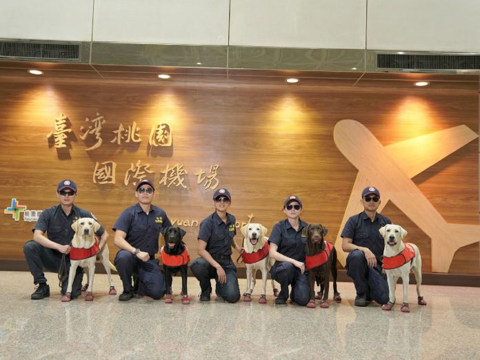 雙11購物節掀跨境網購熱潮，關務署提醒民眾3大重點，才能順利通關取貨。（圖：關務署臉書）